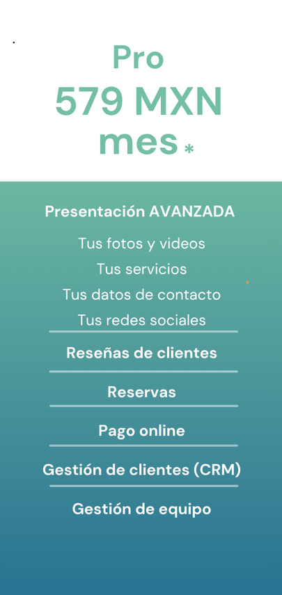 pro anual(5 x 7 po)